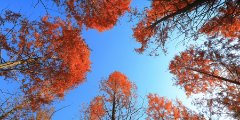 青岛市崂山区松岭路238号·邮编